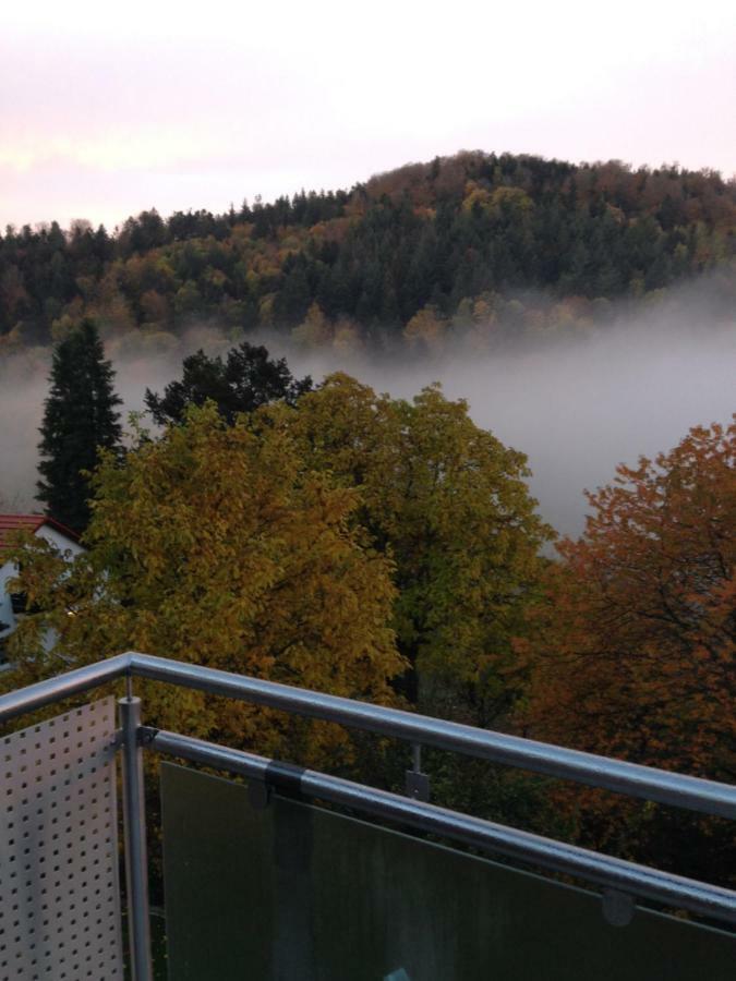 Apartment Sonnenterrasse Baden-Baden Exteriör bild